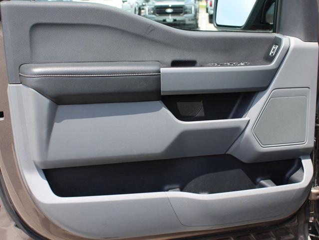Photo of 2023 Brown Ford F-150