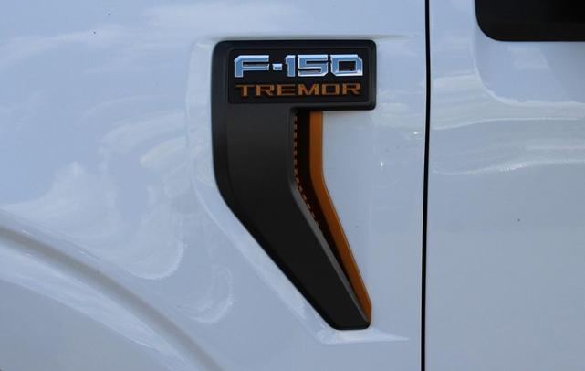 Photo of 2025 Oxford White Ford F-150