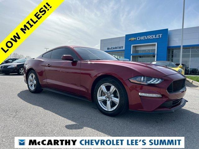 2019 Ford Mustang