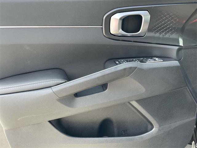 Photo of 2025 Panthera Metal Kia Sorento