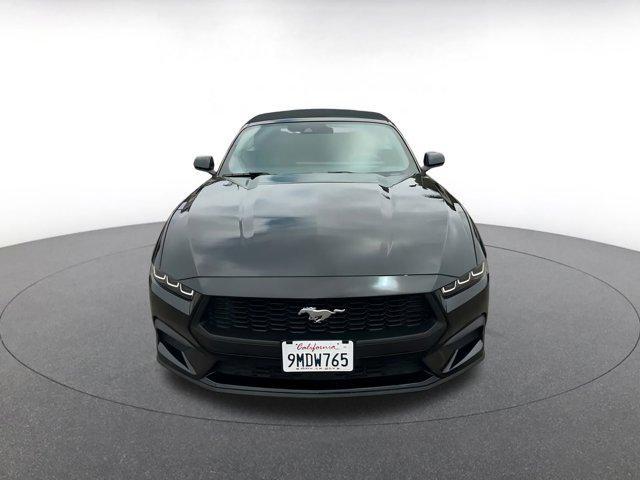 Photo of 2024 Shadow Black Ford Mustang
