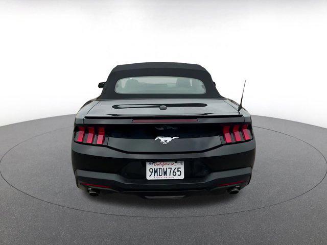 Photo of 2024 Shadow Black Ford Mustang