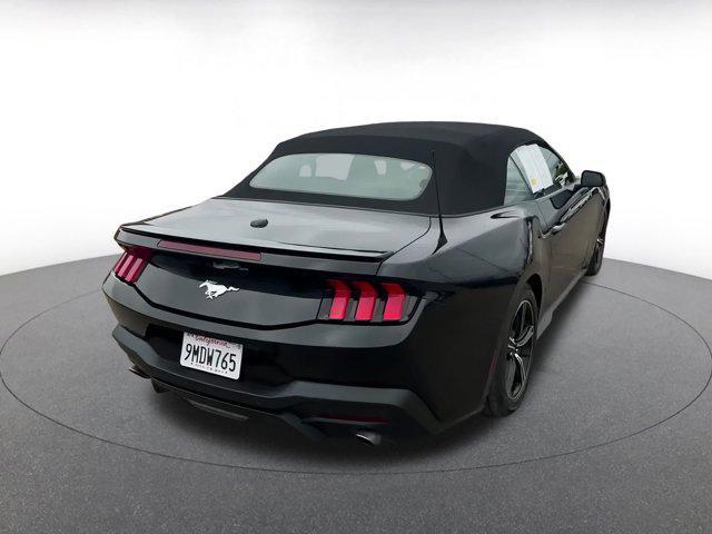 Photo of 2024 Shadow Black Ford Mustang