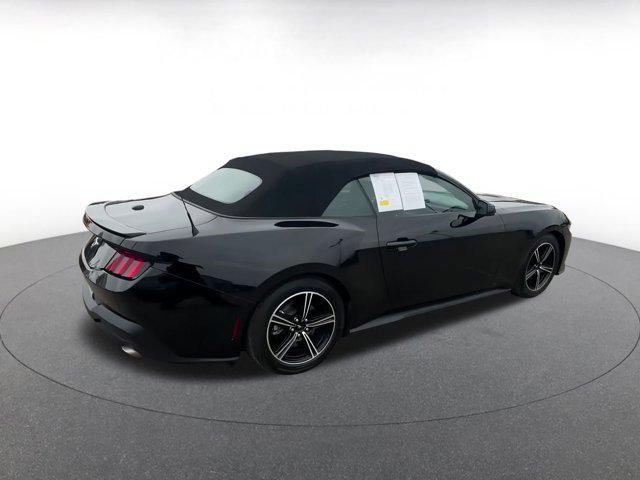Photo of 2024 Shadow Black Ford Mustang