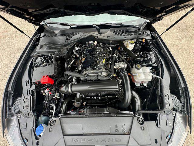 Photo of 2024 Shadow Black Ford Mustang