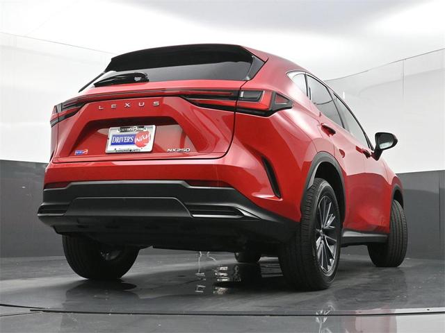 Photo of 2024 Redline Lexus NX 250