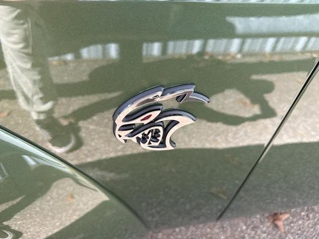 Photo of 2021 F8 Green Dodge Challenger