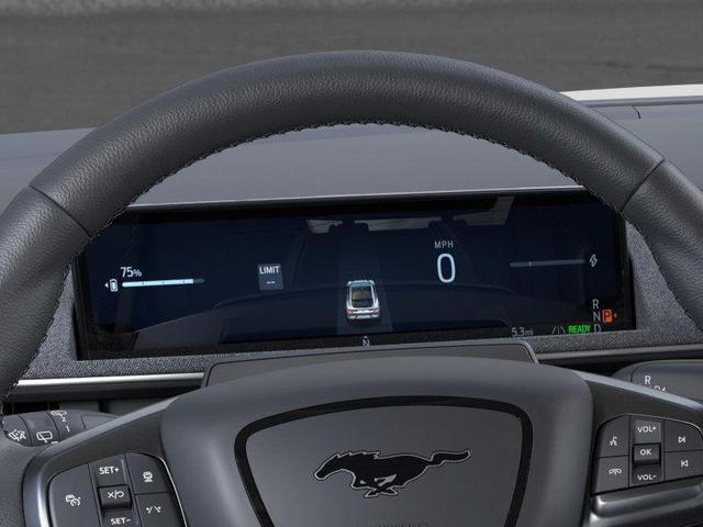 Photo of 2025 Shadow Ford Mustang Mach-E