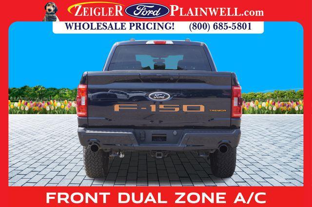 Photo of 2023 Blue Ford F-150