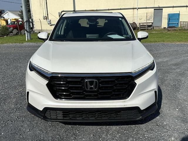 Photo of 2024 Platinum White Pearl Honda CR-V