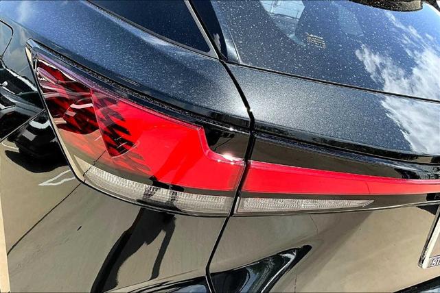 Photo of 2024 Caviar Lexus RX 350