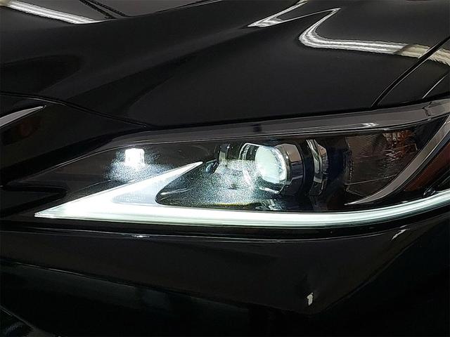 Photo of 2022 Caviar Lexus ES 300h