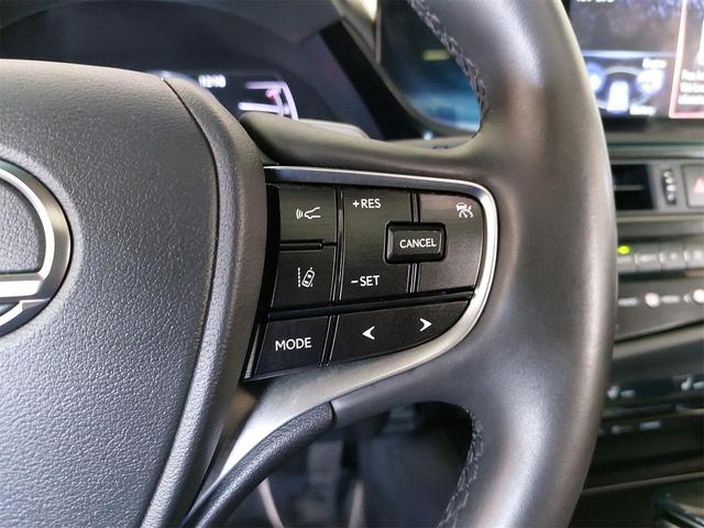 Photo of 2022 Caviar Lexus ES 300h