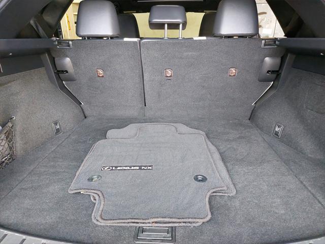 Photo of 2022 Caviar Lexus NX 350