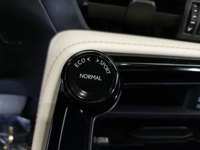 Photo of 2022 Caviar Lexus NX 350