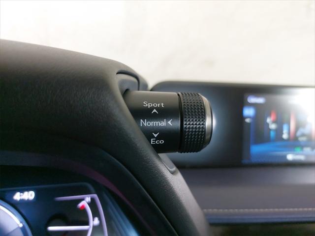 Photo of 2020 Dark Gray Metallic Lexus UX 250h