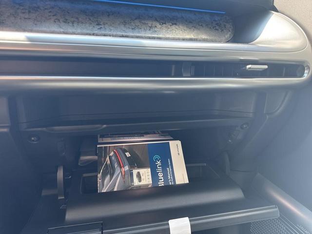 Photo of 2026 Snow White Pearl Hyundai IONIQ 9