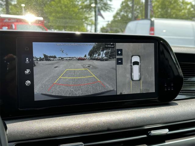 Photo of 2024 Typhoon Silver Hyundai PALISADE