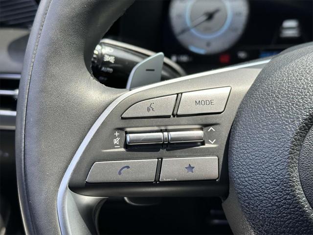 Photo of 2024 Typhoon Silver Hyundai PALISADE