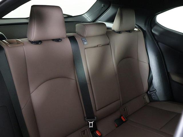 Photo of 2023 Cloudburst Gray Lexus UX 250h