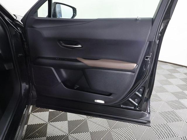 Photo of 2023 Cloudburst Gray Lexus UX 250h