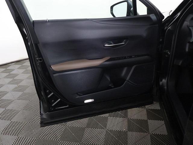 Photo of 2023 Cloudburst Gray Lexus UX 250h