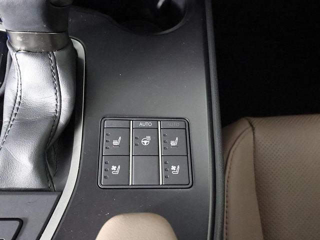 Photo of 2023 Cloudburst Gray Lexus UX 250h
