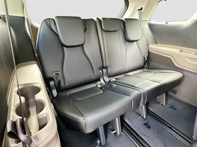 Photo of 2026 Panthera Metal Kia Carnival Hybrid