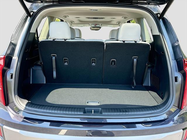 Photo of 2025 Panthera Metal Kia Telluride