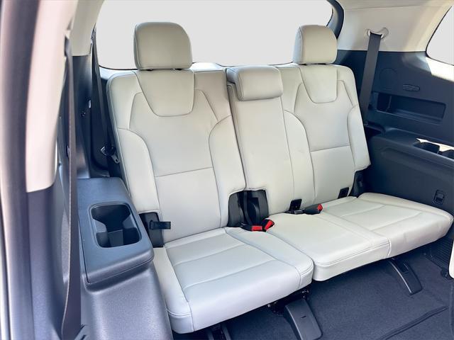 Photo of 2025 Panthera Metal Kia Telluride