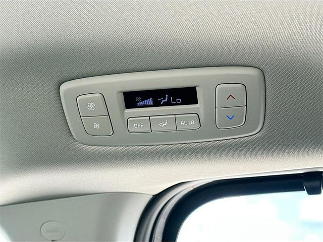 Photo of 2025 Panthera Metal Kia Carnival Hybrid