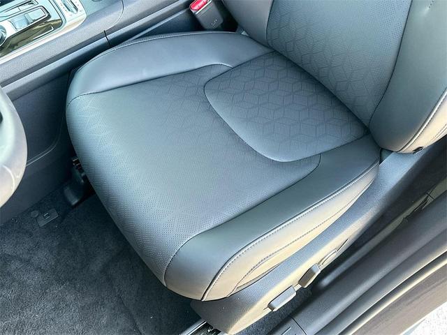 Photo of 2025 Panthera Metal Kia Carnival Hybrid