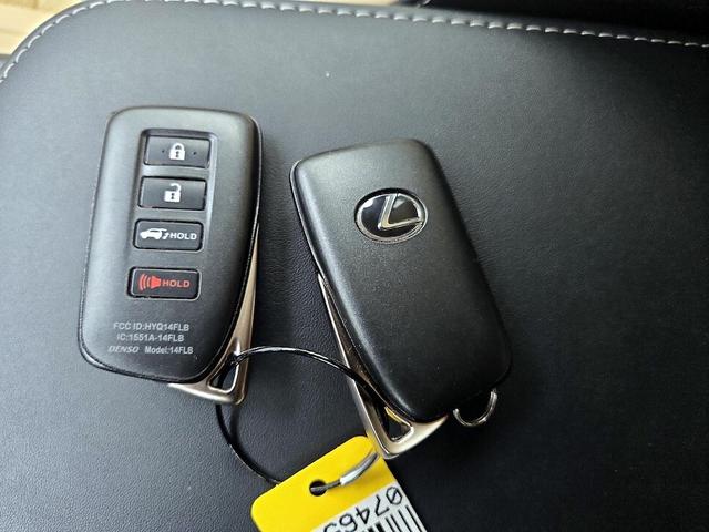 Photo of 2021 Red Lexus NX 300