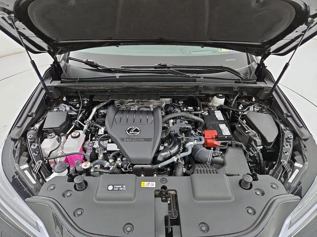 Photo of 2025 Black Lexus NX 350