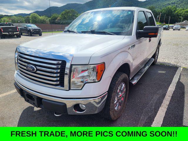 2010 Ford F-150