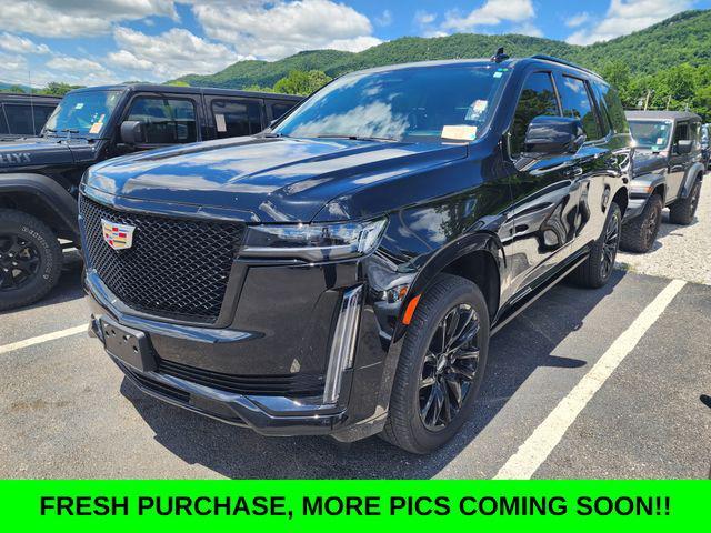 2023 Cadillac Escalade