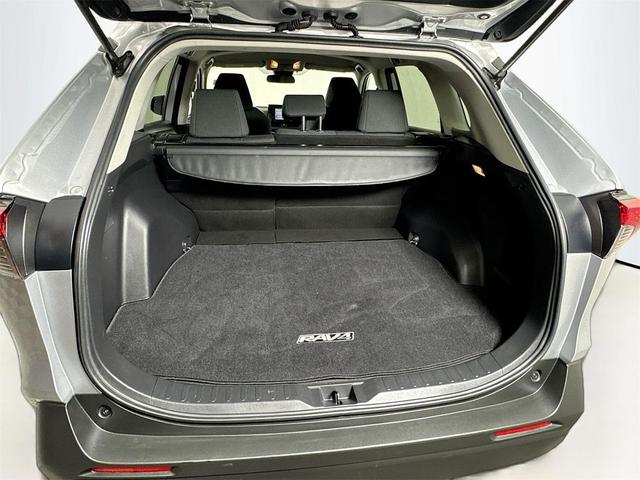 Photo of 2021 Silver Sky Metallic Toyota RAV4