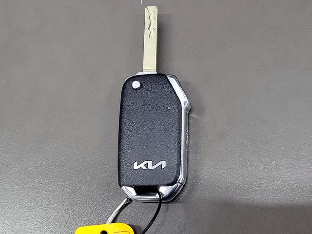 Photo of 2024 Silver Kia Soul
