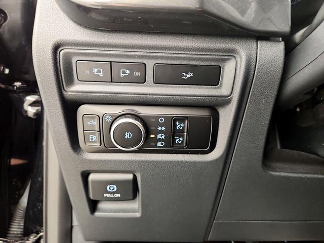 Photo of 2023 Black Ford F-150