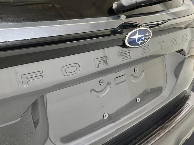 Photo of 2025 Magnetite Gray Metallic Subaru Forester