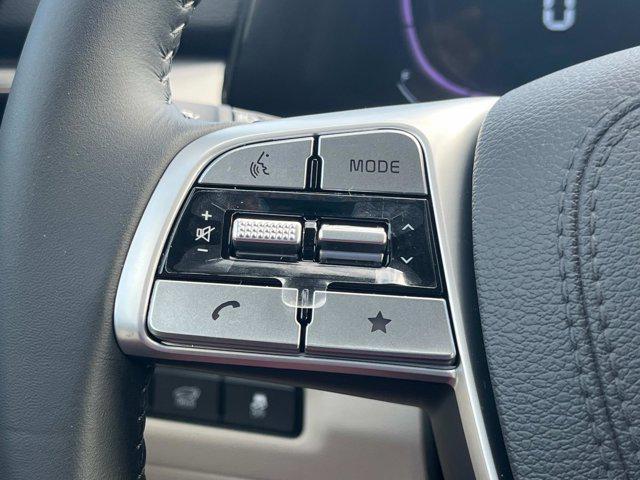 Photo of 2025 Ebony Black Kia Telluride