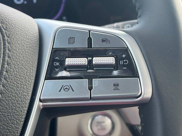 Photo of 2025 Ebony Black Kia Telluride