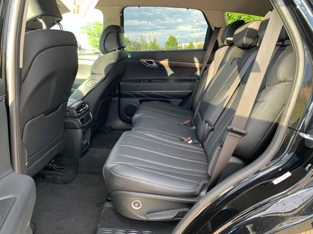 Photo of 2024 Vik Black Genesis GV80