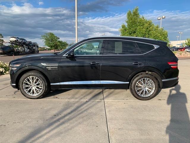 Photo of 2024 Vik Black Genesis GV80