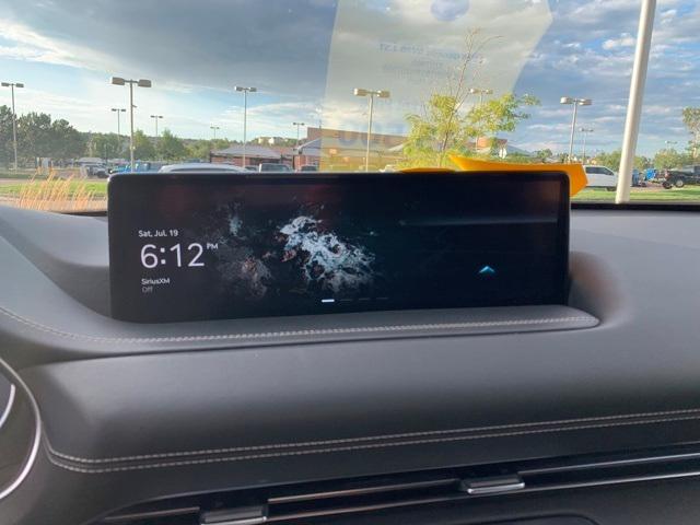 Photo of 2024 Vik Black Genesis GV80
