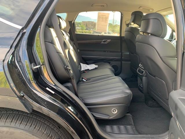 Photo of 2024 Vik Black Genesis GV80