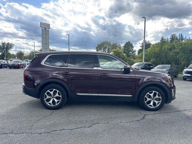 Photo of 2022 Sangria Red Kia Telluride