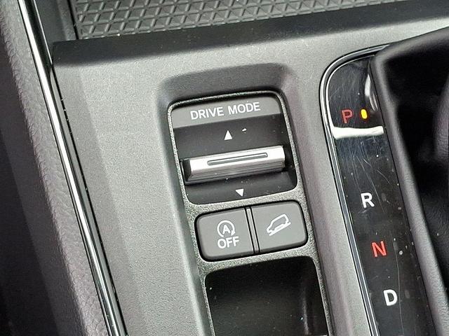 Photo of 2023 Still Night Pearl Honda CR-V