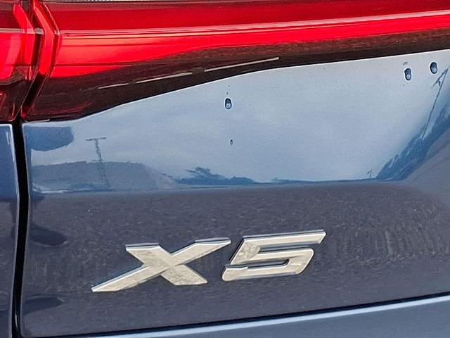 Photo of 2021 Phytonic Blue Metallic BMW X5