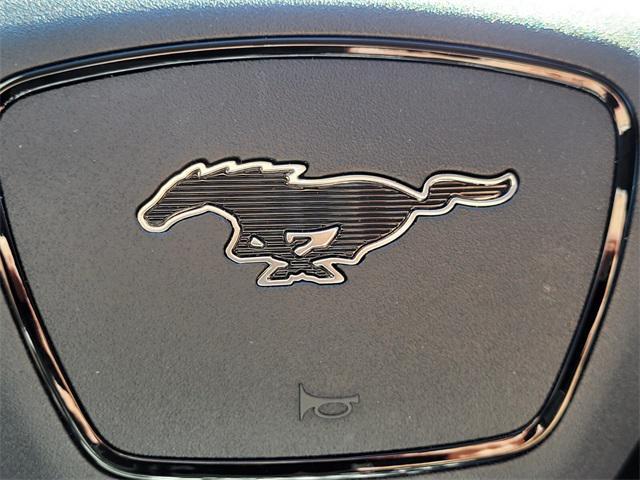 Photo of 2023 Rapid Red Metallic Tinted Clearcoat Ford Mustang Mach-E